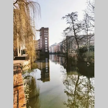 Appartement I Should Cocoa York