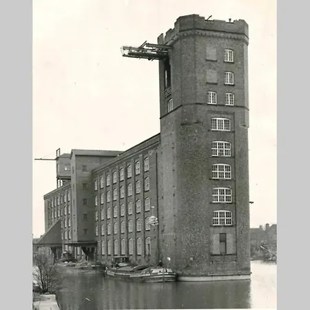 I Should Cocoa * 요크