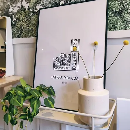 아파트 I Should Cocoa *